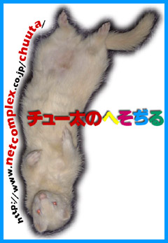 �t���`���[��T�V���c