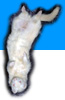 t`[